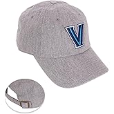 Desert Cactus Villanova University Baseball Hat VU Wildcats Brimmed Embroidered Hats Cap Adjustable Cloth Strap Adult Type A