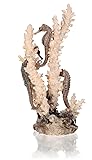 biOrb Medium Seahorse Sculpture, Ceramic Resin