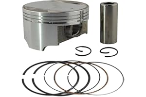 AHL Piston & Piston Rings Pin Clips Kit Compatible with Suzuki DR250 1990-1995 (STD 73mm)