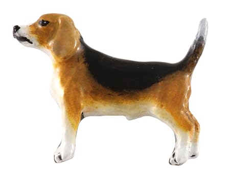 Pintado de todo el cuerpo Beagle~~~imán de nevera DP322FM: Amazon ...