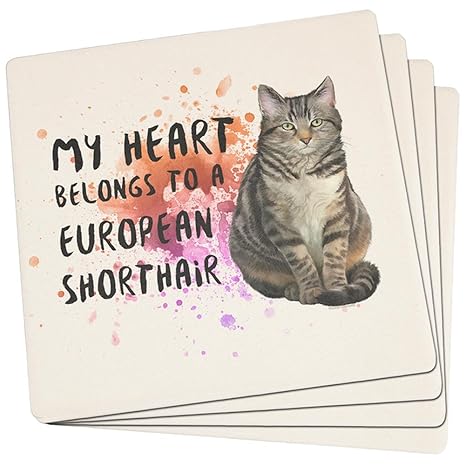 Amazon Com My Heart Belongs European Shorthair Cat Set Of 4