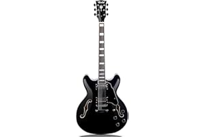 Redid Semi-Hollow Body Electric Guitar RD-100 Jazz Guitar with F-Hole,Maple neck,humbucker Pickups (Black)