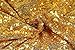 1 Yard Gold Sequin Fabric Shimmer Mesh Glitz Fabric Backdrop Glitter Fabric Sequin Fabric by The Yard for Dress Clothing Making Home Christmas Decor