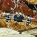 Estes Proto-X Micro HD First Person View Ready to Fly (RTF) Electric Powered Radio Controlled Micro Quadcopter Drone