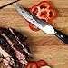 Kessaku Steak Knife 4 Pack Set - Dynasty Series - German HC Steel, G10 Full Tang Handle, 4.5-Inch