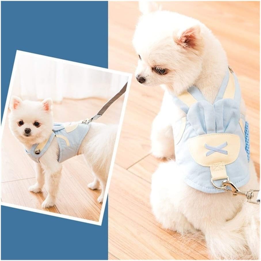 cute harness for pomeranian