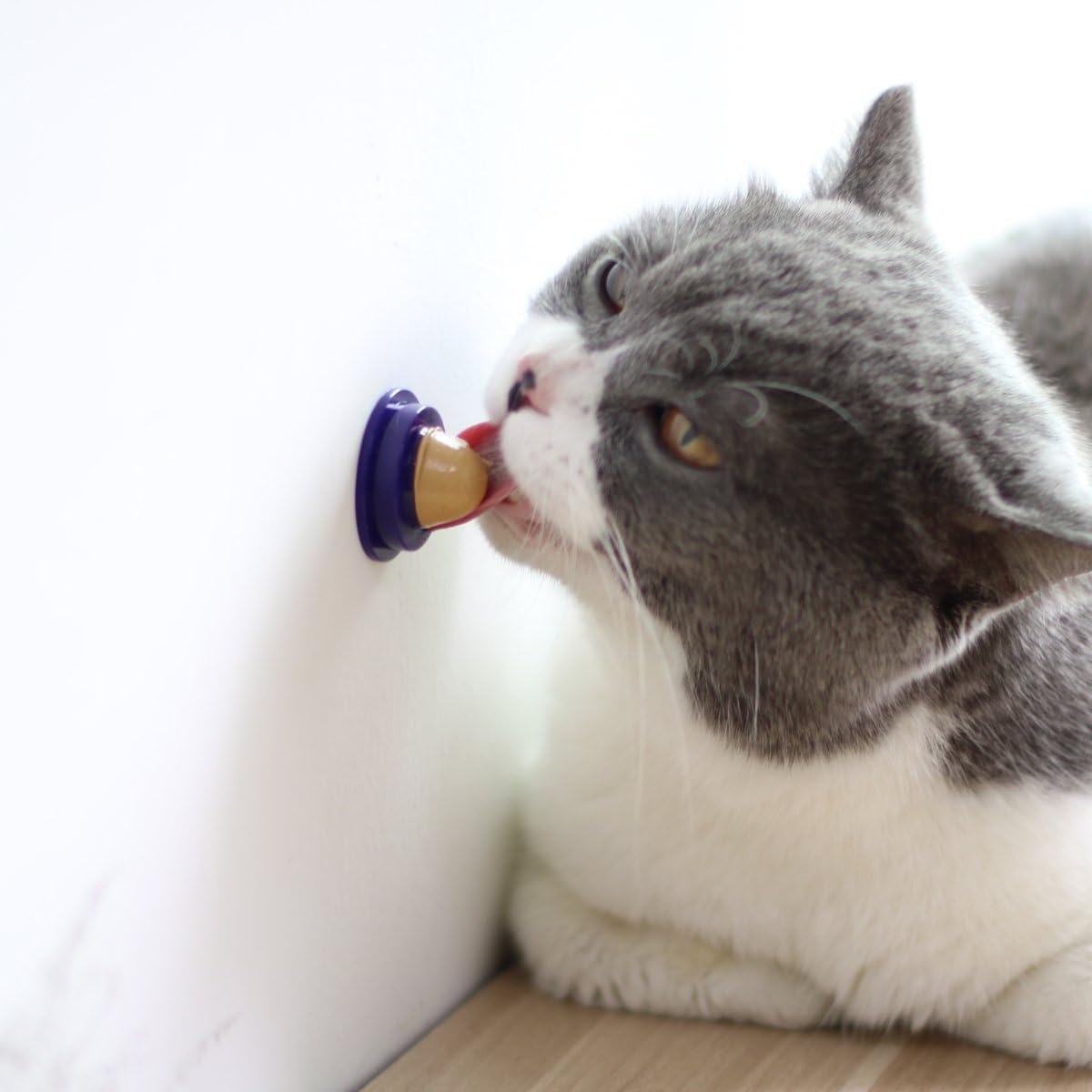 GOMASS Cat Snacks Licking Sugar Solid Nutrition Gel Energy Ball Cat Treat, 3 Pack