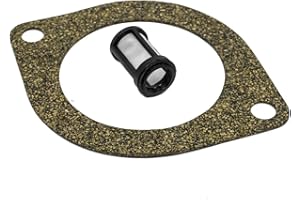 Professional Parts Warehouse Western Fisher Snow Plow Motor Gasket 25861 5822 and Suction Filter 56185 7053K Kit