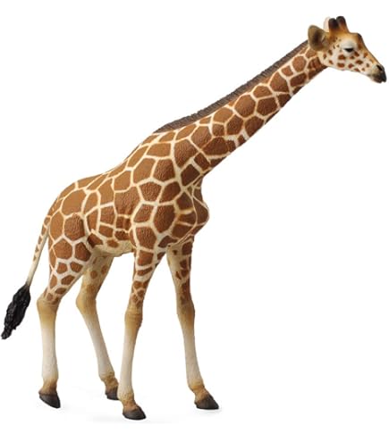 Amazon.com: Collecta, Color Does not Apply : Toys & Games