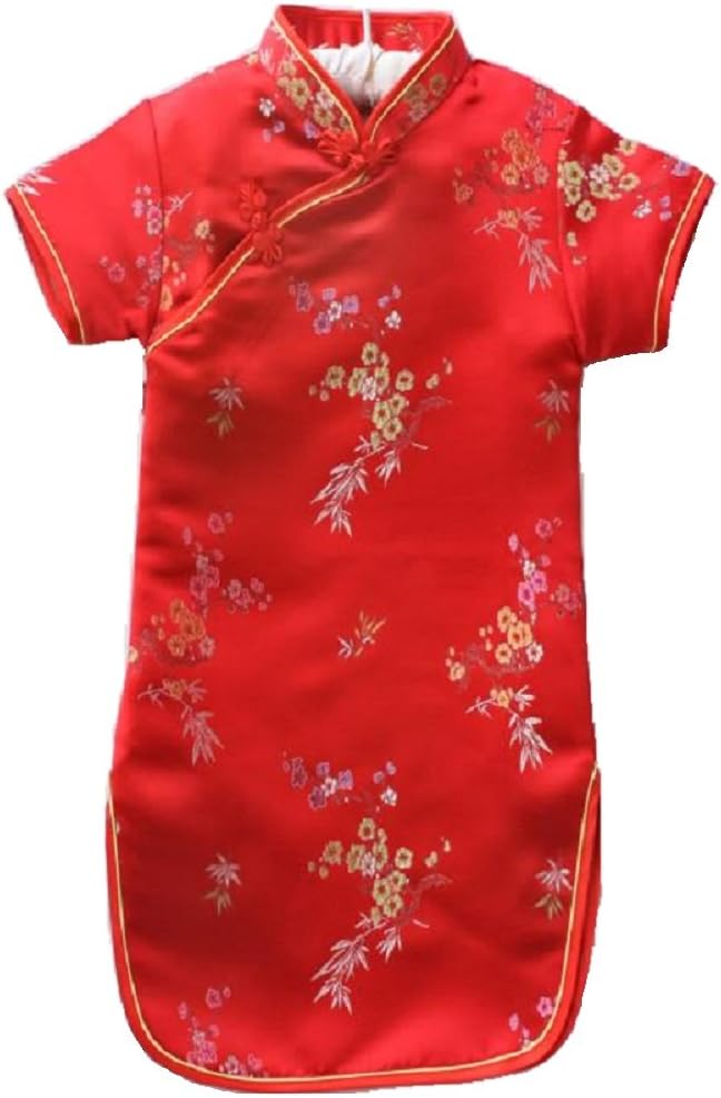 HooyiBaby Girls Chinese Qipao Floral Bamboo Cheongsam New Years Gift Asian Costume Dress Outfit