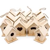 12 Pack DIY Bird House Kits for Kids to Paint, Wooden Birdhouses | Bulk Birdhouses for Adults, Fully Assembled Ready to Decorate, Party School Camp Classroom Crafts, Hanging Strings Included