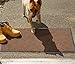 DII Durable Walk Off Utility Indoor/Outdoor Runner, 22x60, Brown