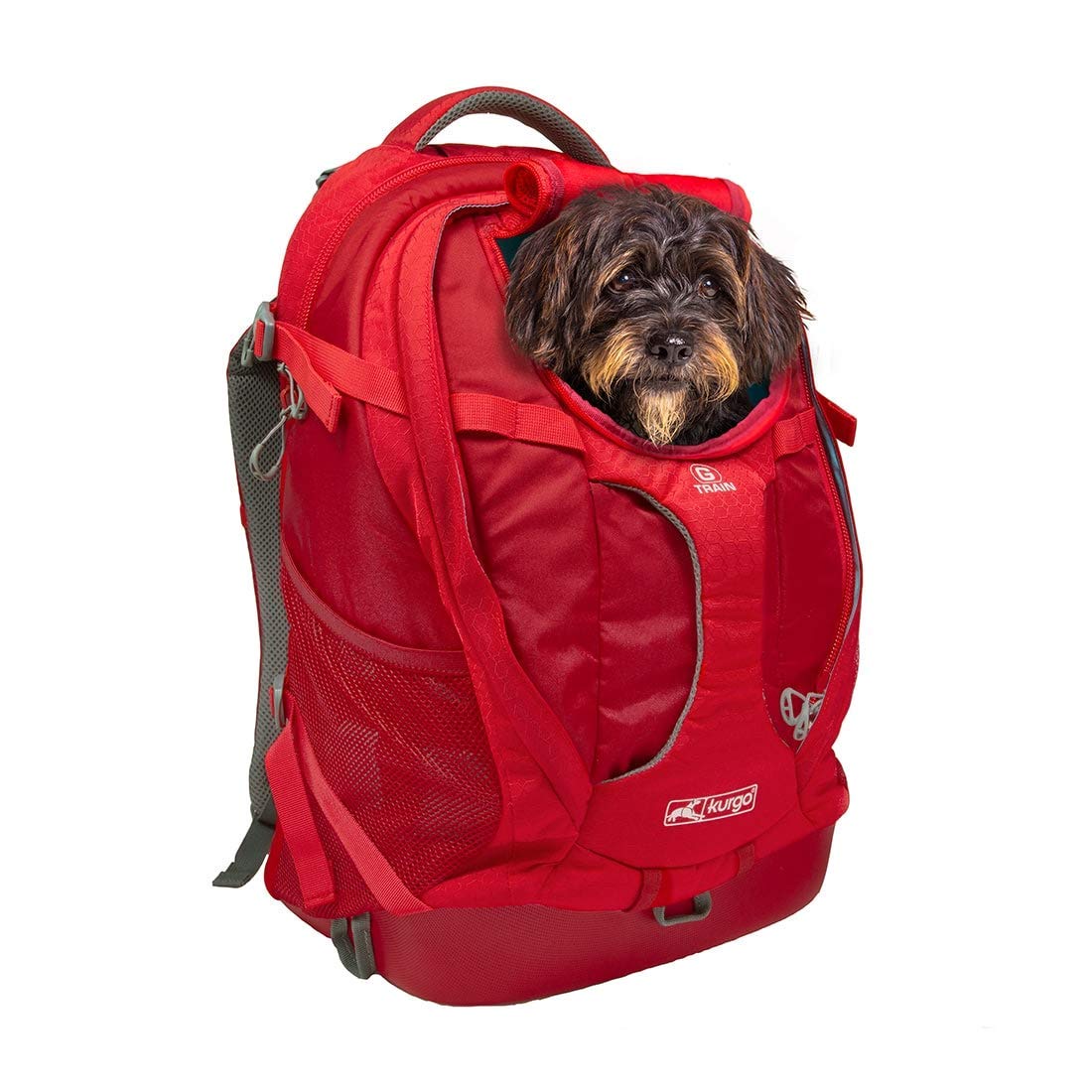 Buy Kurgo Dog Carrier Backpack for Small Pets Cat & Dog Backpack for