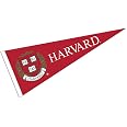 Nevada Wolf Pack College Pennant | Full Size 12x30 Inch Felt | Officially Licensed NCAA Wall Decor - View #7