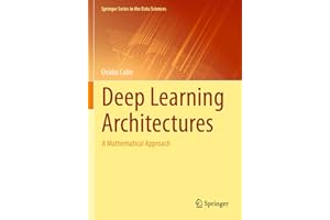 Deep Learning Architectures: A Mathematical Approach (Springer Series in the Data Sciences)