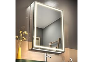 GANPE LED Lighted Bathroom Medicine Mirror Cabinet with Single Door Defog, Stepless Dimming, Memory 3 Colors Mode, Memory She