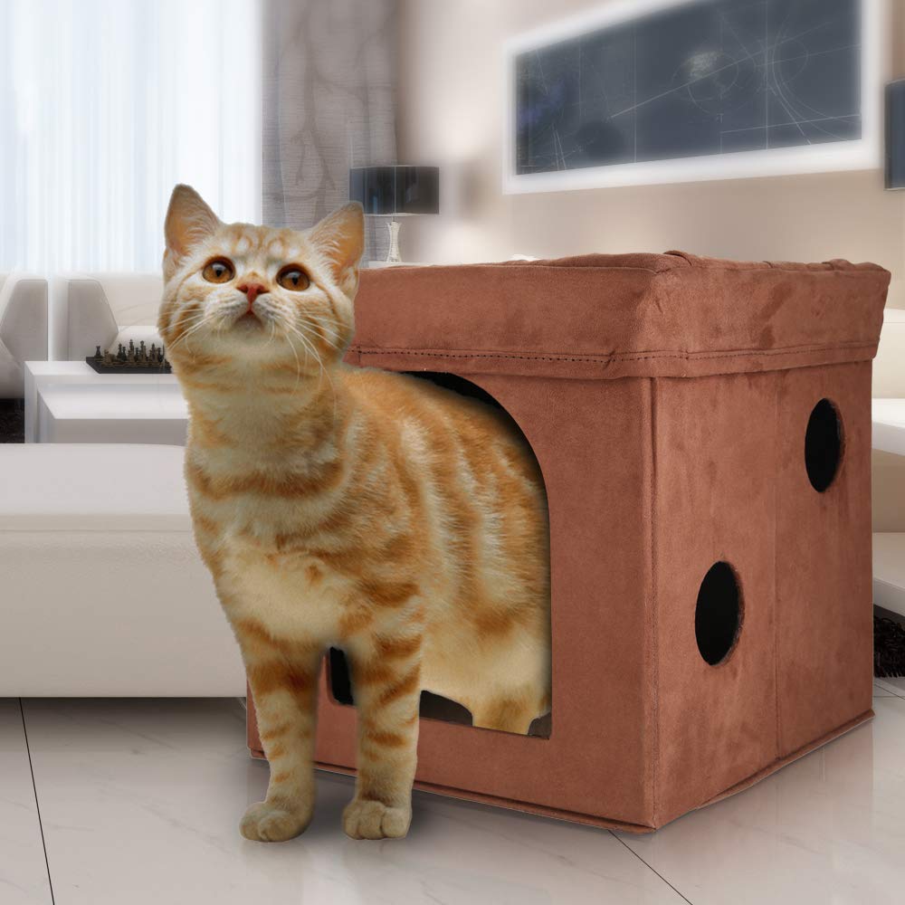 cat play cube