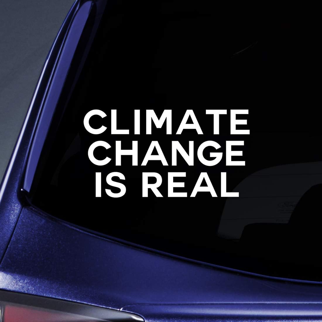 Climate Change is Real Sticker Decal Notebook Car Laptop 5.5" (White)