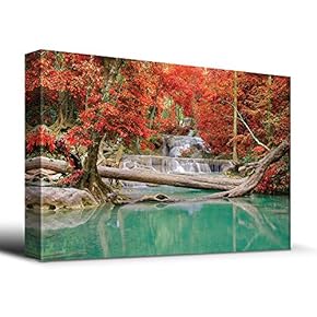 Stream and Waterfall in Exotic Location - Canvas Art Home Art - 12x18 inches