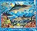 Ceaco Reef Sharks Puzzle (1500 Piece)