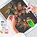 DIY 5D Diamond Painting Kits for Adults Full Drill Embroidery Paintings Rhinestone Pasted DIY Painting Cross Stitch Arts Crafts for Home Wall Decor 30x40cm/11.8×15.7Inches (Dragonfly Flowers painting)