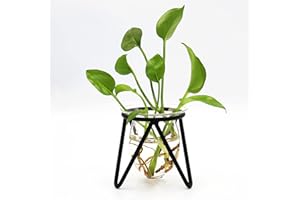 SOSFKIM Plant Terrarium with Metal Stand, Desktop Air Planter Bulb Glass Vase for Indoor Live Hydroponics Plants Home Garden Office Decoration