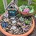 Mystic Garden Fairy Garden Kit; Believe House and 9 Fairy Garden Accessories for Indoor/Outdoor Decoration; Garden & Home Decor