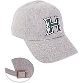 Desert Cactus University of Hawaii Baseball Hat Rainbow Warriors UH Brimmed Embroidered Hats Cap Adjustable Cloth Strap Adult
