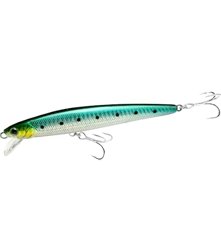 Amazon.com : LUCKY CRAFT FlashMinnow 110, Saltwater Fishing Lures
