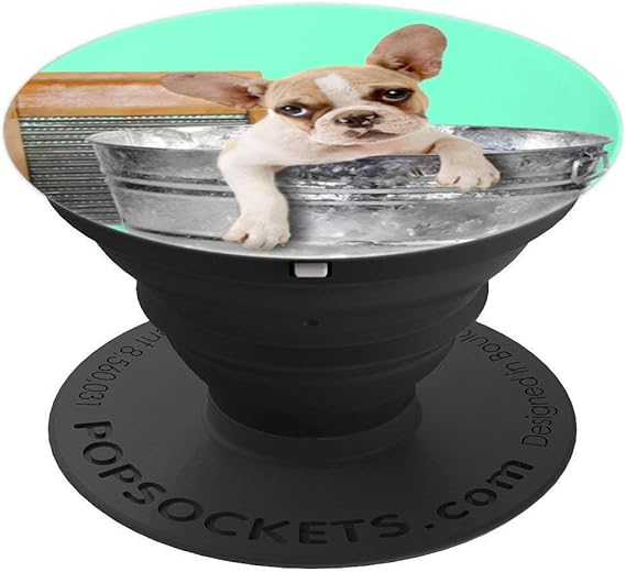 french bulldog accessories amazon