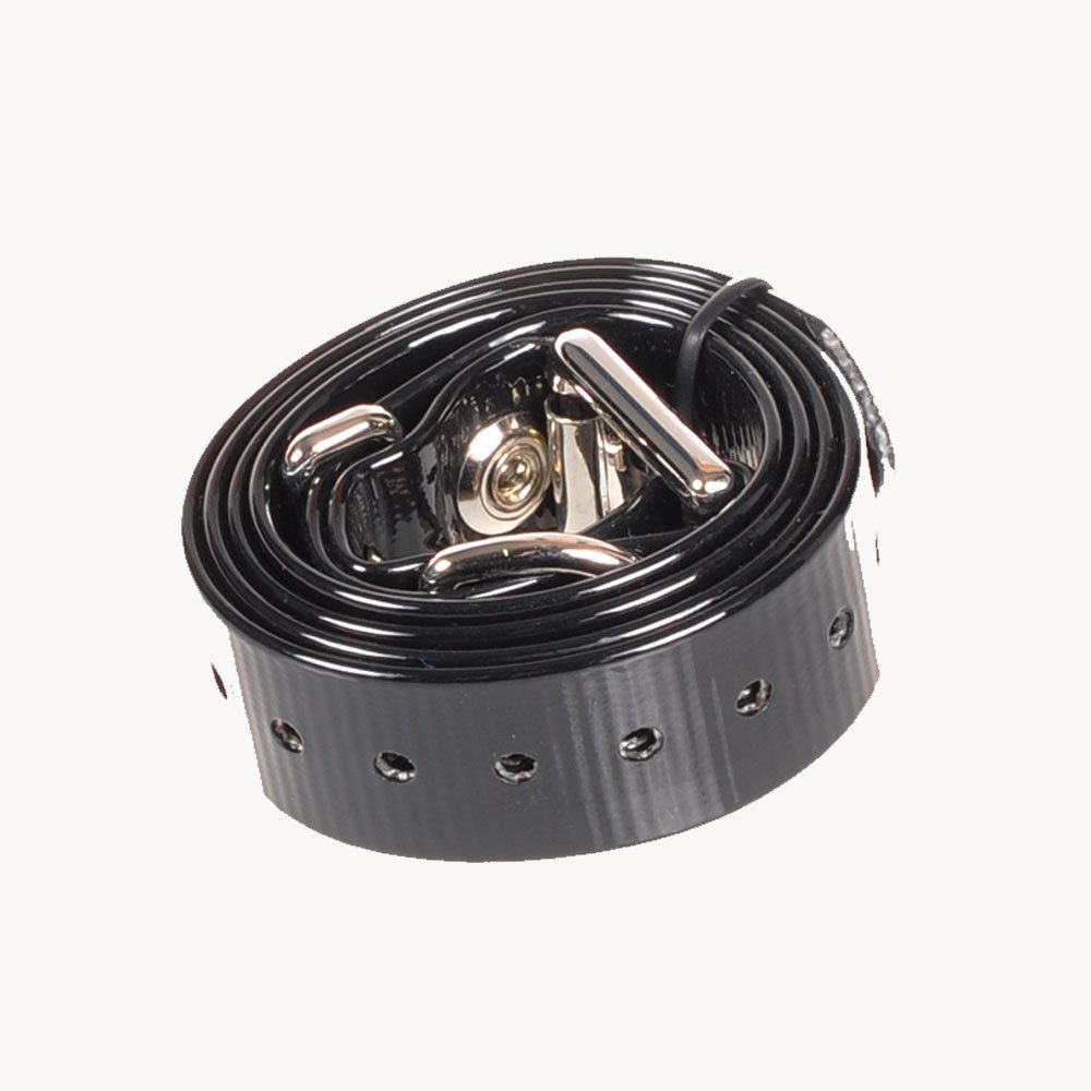 Buy Aetertek Replacement/Spare Parts collar strap for Waterproof