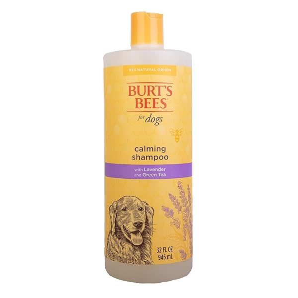 BURT’S BEES FOR PETS CALMING DOG SHAMPOO WITH LAVENDER AND GREEN TEA, 95% NATURAL ORIGIN FORMULAS, CALMING LAVENDER DOG SHAMPOO – GENTLE DOG SHAMPOO, BEST DOG SHAMPOO, LAVENDER, 32 OZ