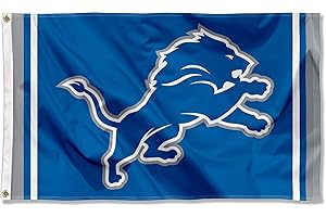 WINCRAFT Detroit Lions New Logo Flag