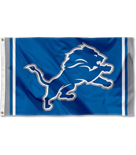 Amazon.com : WinCraft Detroit Lions All Grit Large 3x5 Flag