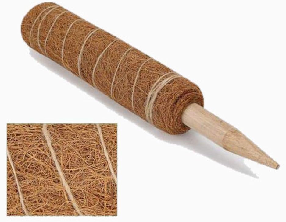 tidystore - Palo de Musgo de Fibra de Coco para extensión de ...