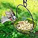 Couronne Company Mosaic Birds M337-200-00 Cuban Hanging Bird Bath or Feeder Clear, 10