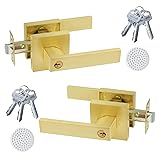 DSJJBLL Golden Polished Brass Door Lever with Lock