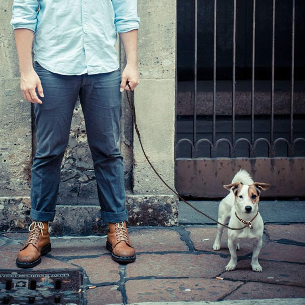 thin slip leads for dogs