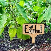 HIRALIY 60 Piezas Etiquetas de Plantas de bambú (6 x 10 cm) con ...