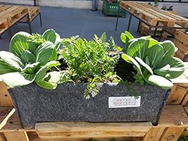 Saco Balconera mini Mh (50x20x20cm) par Huerto Urbano + Manual ...