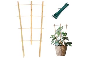 Cambaverd Trellis for Indoor Potted Plants 10 Pack Bamboo Trellis with Twist Ties, 16in Fan-Shaped Plant Trellis Indoor for Climbing Plants Hoya Vines Monstera House Plant