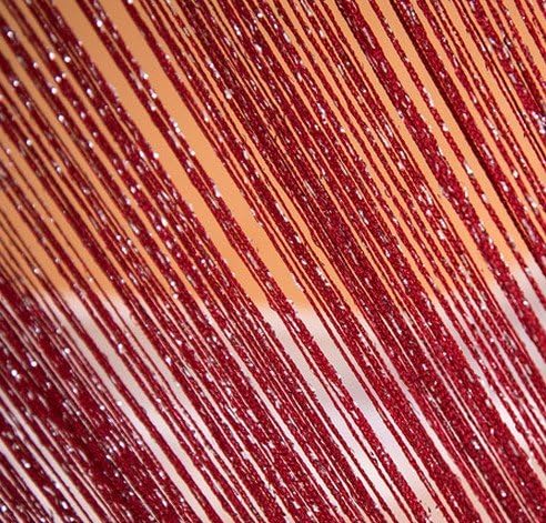 Senswalan 100cmX200cm Decorative Door String Curtain Wall Panel Fringe Window Room Divider Blind Divider Tassel Screen (Red Wine)
