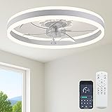 Fszdorj 23.6'' Ceiling Fan with Light, Upgraded Low