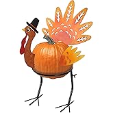 yosager Male Turkey Pumpkin Making Kit, Thanksgiving Decorations DIY Pumpkin with Stand, Colorful Metal Turkey Parts Poke into Pumpkin, Indoor/Outdoor Thanksgiving Autumn Fall Harvest Home Decor