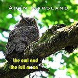 OWL AND THE FULL MOON                              image