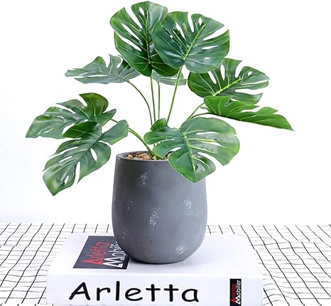 Amazon Achicoo 造花 ダイニング 盆栽 デイジー アートフラワー フラワーアレンジ 人工観葉植物 フェイクグリーン 永遠の花 枯れない花 ホーム 卓上 オフィス テーブル飾り 1000g Monstera 観葉植物 オンライン通販