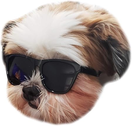 goggles for dogs amazon