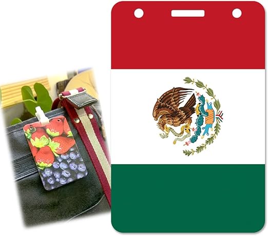 Amazon Pass Case パスケース Pass Case 定期入れ Suica スイカ Pasmo パスモ Icoca イコカ Felica フェリカ 電子マネー プラスチックケース 国旗 メキシコ オリジナルデザイン プリント 日本製 Ana Lyn 生活雑貨 通販