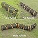 RORAIMA Collapsible Mesh Cat Play Tunnel for Indoor cat Size 17
