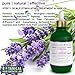 Cypress - Lavender Natural Hair Growth Scalp Stimulating Treatment & Hair Rejuvenation Oil For Hair Loss and Hair Thinning Prevention - Lab Formulated - Postpartum / Alopecia / DHT 4 oz